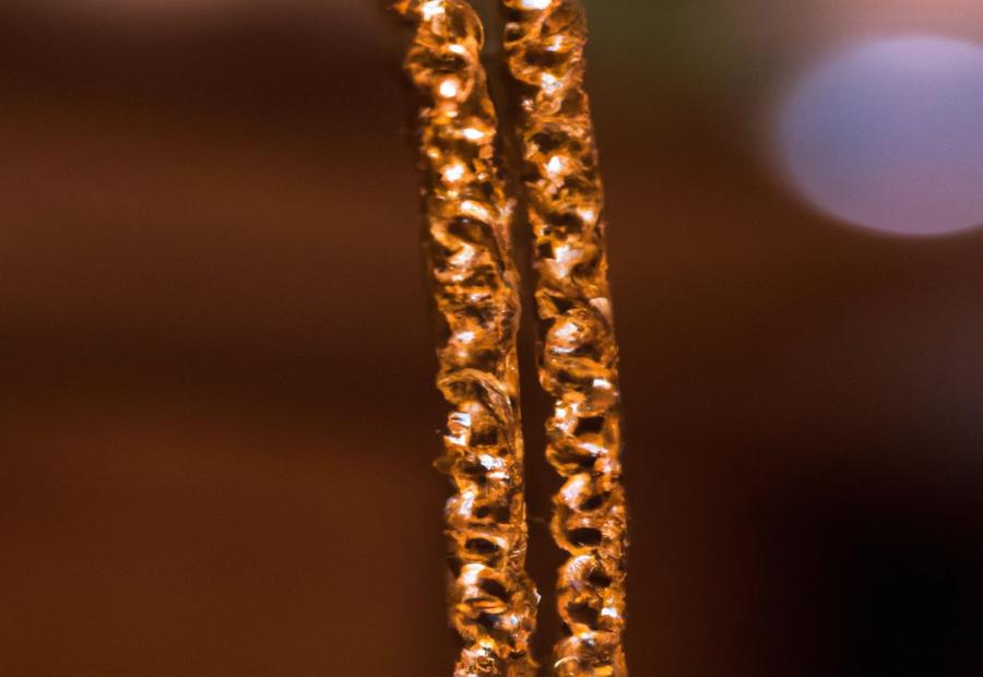 Understanding the Value of a 14K Gold Rope Chain