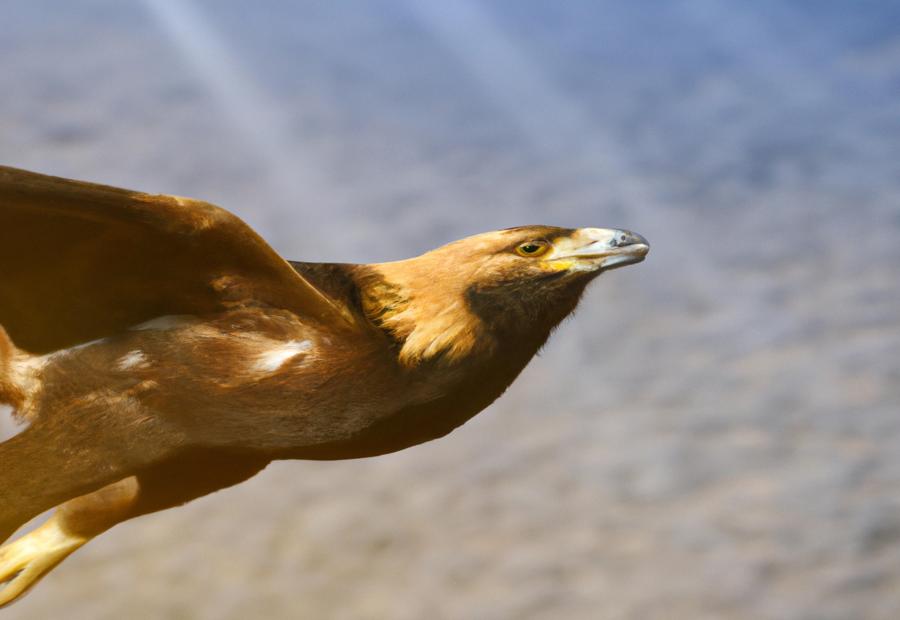 Expert Consultation for Gold Investments