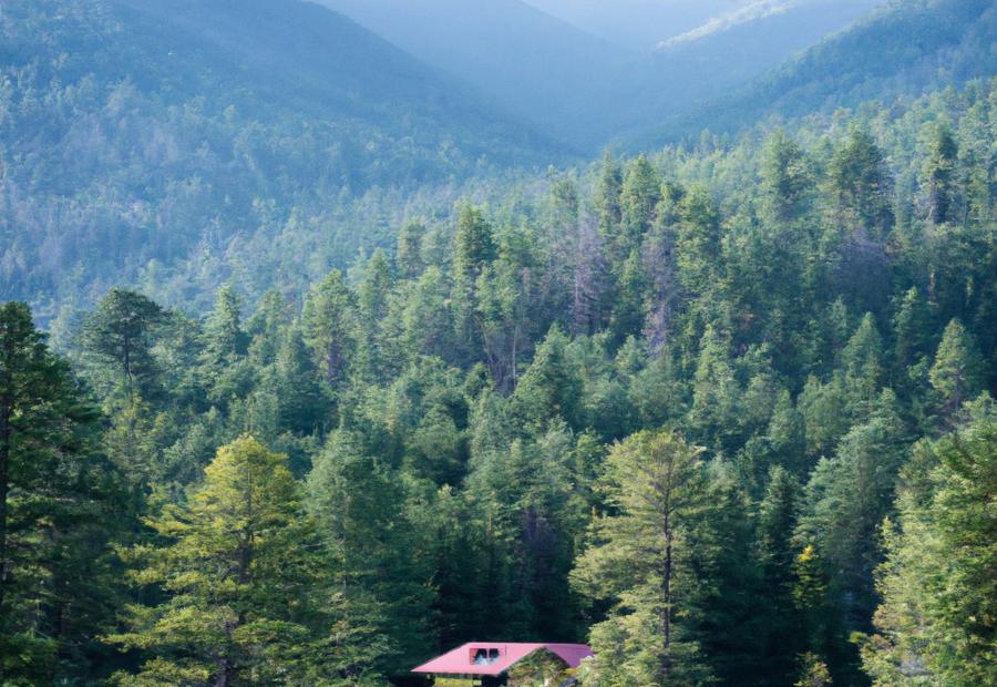 Importance of Long-Term Financial Security