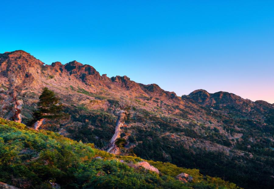 Introduction to Mountain West IRA